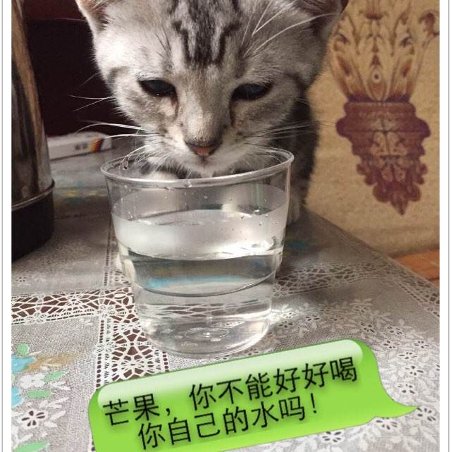 办证件多少钱